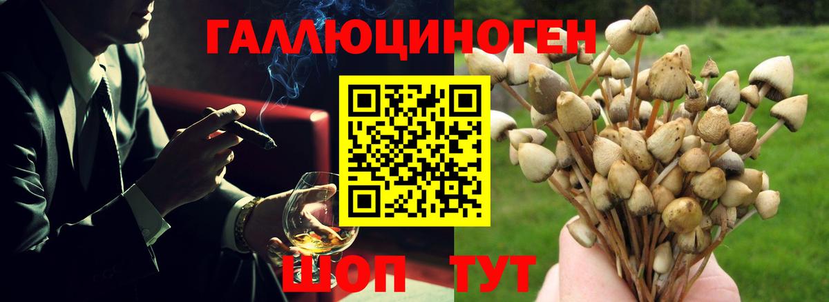 Псилоцибиновые грибы Magic Shrooms Владимир